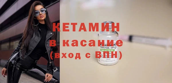 шишки Медвежьегорск