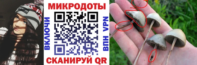 Галлюциногенные грибы мухоморы  Кемерово 